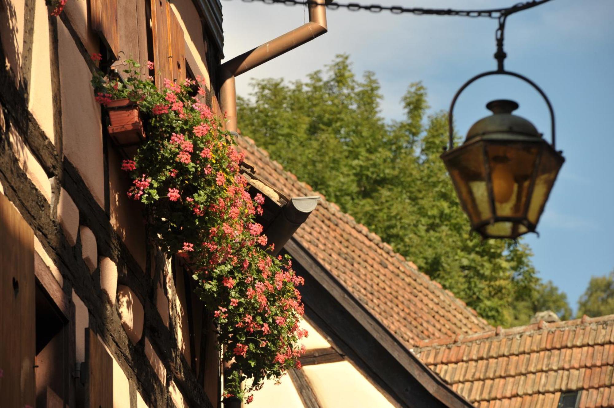 Logis Hotel Restaurant De La Poste Et Spa De Montagne ル・ボノム エクステリア 写真